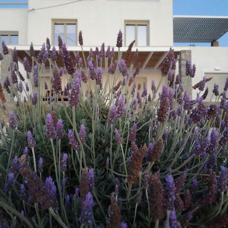 הוילה פרספורוס Nesaea Seafront House מראה חיצוני תמונה